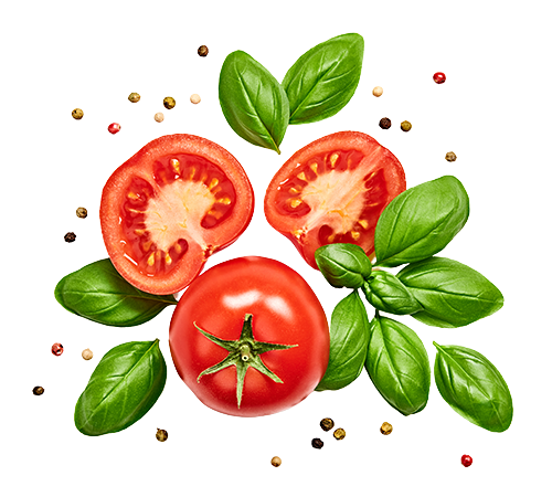 Navya Caterers tomato